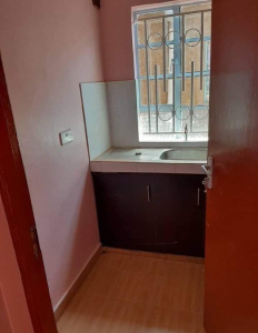TotalPropertiesMwanzo1Bdrm (21)